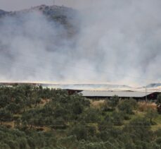 İzmir'de saman deposunda yangın çıktı