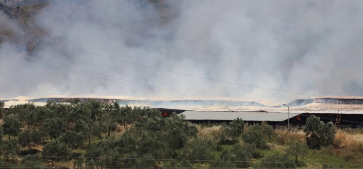 İzmir'de saman deposunda yangın çıktı