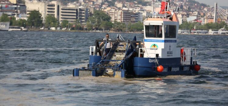 İzmit Körfezi'nden 2 ayda 150 ton deniz salyası toplandı