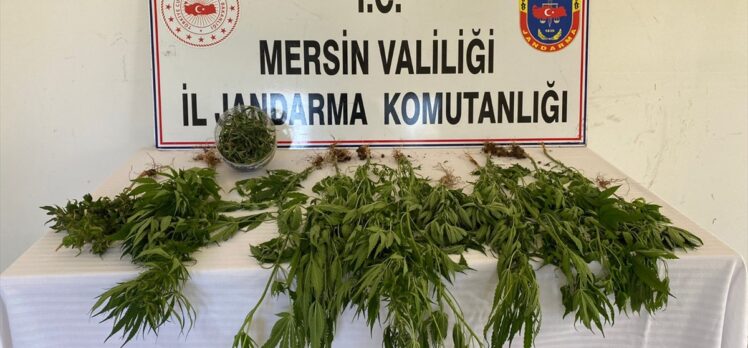 Mersin'de uyuşturucu operasyonunda 8 şüpheli yakalandı