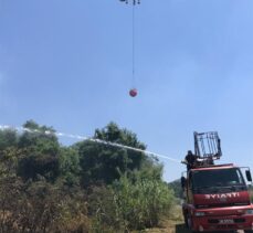 Muğla'da orman ve makilik alanda yangın başladı