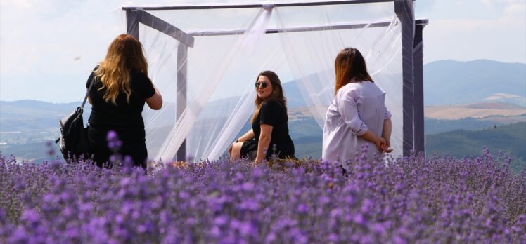 “Tekirdağ Lavanta Günleri” son gün etkinlikleriyle devam ediyor