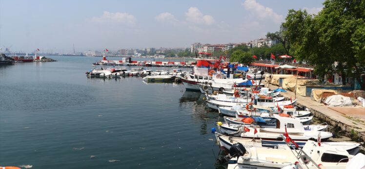 Tekirdağlı balıkçılar müsilaj nedeniyle denize ağ atamıyor