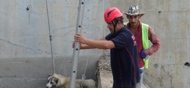 Afyonkarahisar'da su kanalına düşen köpeği itfaiye ekipleri kurtardı