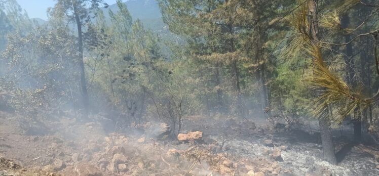 Antalya'da çıkan orman yangını söndürüldü