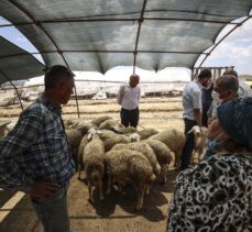 Başkentte bayramın üçüncü gününde de hayvan pazarlarında kurban satışları sürüyor