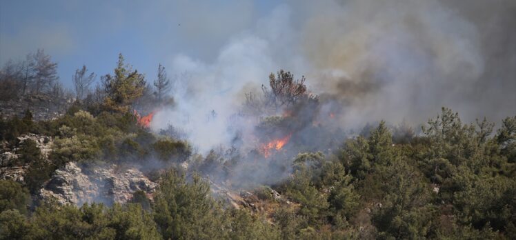 GÜNCELLEME – Bodrum'da makilik ve ormanlık alanda çıkan yangına müdahale ediliyor