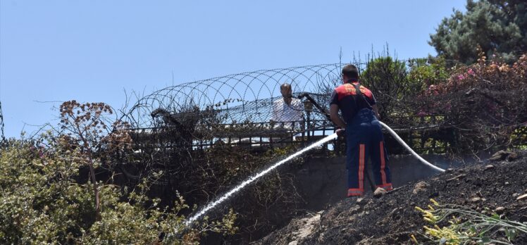 Bodrum'da makilik ve otluk alanda çıkan yangın söndürüldü