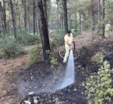 GÜNCELLEME – Denizli'nin Pamukkale ilçesindeki orman yangını kontrol altına alındı