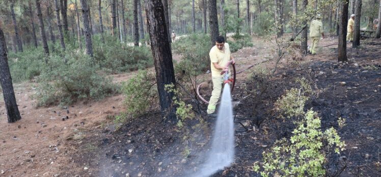 GÜNCELLEME – Denizli'nin Pamukkale ilçesindeki orman yangını kontrol altına alındı