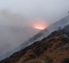 Elazığ'da çıkan örtü yangını kontrol altına alındı