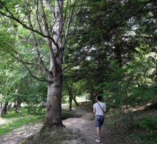 Gölcük Tabiat Parkı bayramda tatilcilerin akınına uğradı