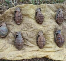 Hakkari'de toprağa gömülü el bombaları ele geçirildi