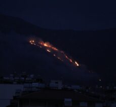 Hatay'da iki ilçede orman yangını çıktı