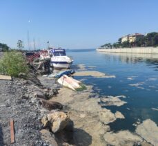 İstanbul'da müsilaj temizleme çalışmaları sürüyor