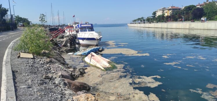 İstanbul'da müsilaj temizleme çalışmaları sürüyor