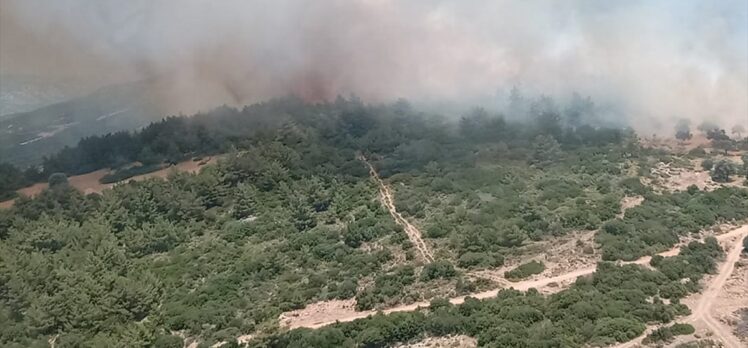 İzmir Karaburun'da makilik alanda çıkan yangına müdahale ediliyor