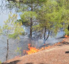 GÜNCELLEME – Kahramanmaraş'ta çıkan orman yangınına havadan ve karadan müdahale ediliyor