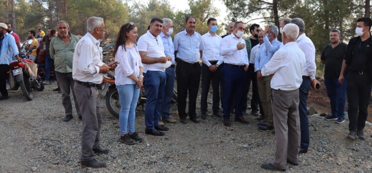 GÜNCELLEME 3 – Kilis'te çıkan orman yangını kontrol altına alındı