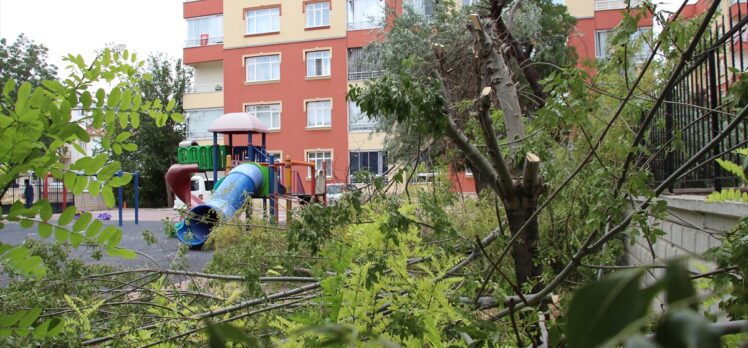 Konya'da bir sitenin bahçesindeki ağaçların kesilmesi tepki çekti