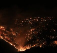 GÜNCELLEME – Mersin'de iki ilçede çıkan orman yangınlarına müdahale sürüyor