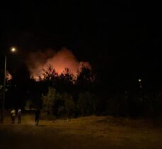 Muğla'nın Fethiye ilçesinde orman yangını başladı