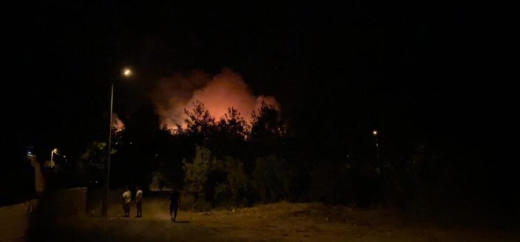 Muğla'nın Fethiye ilçesinde orman yangını başladı