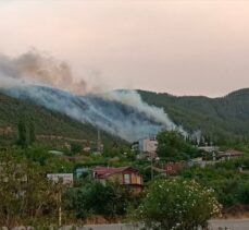 Osmaniye'de çıkan ikinci orman yangınına müdahale ediliyor