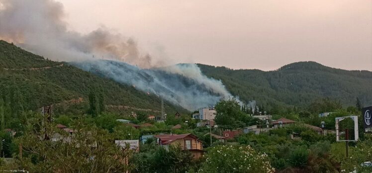 Osmaniye'de çıkan ikinci orman yangınına müdahale ediliyor