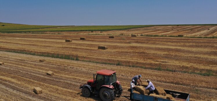 Trakya çiftçisi bayramda da üretime devam ediyor