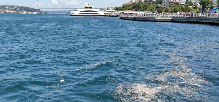 Üsküdar'da kıyıya vuran çöplerin oluşturduğu kirlilik çevredekileri rahatsız etti