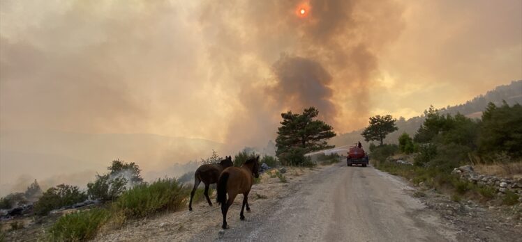 Akseki'deki orman yangınına havadan ve karadan müdahale sürüyor