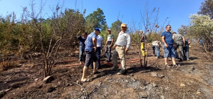 Antalya'nın Kumluca ilçesinde ormanlık alan ve tarım arazilerinde çıkan yangın söndürüldü