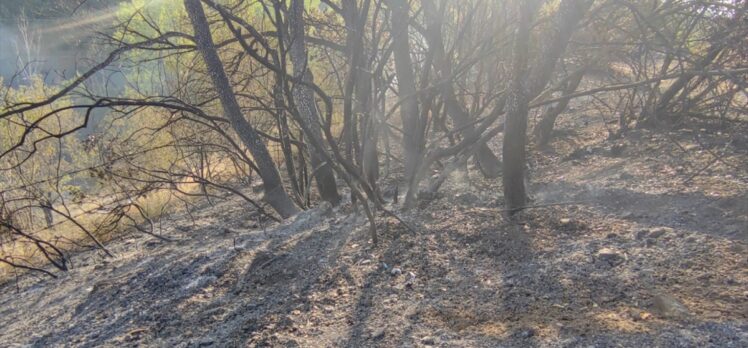 Balıkesir'in Dursunbey ilçesinde çıkan orman yangını kontrol altına alındı