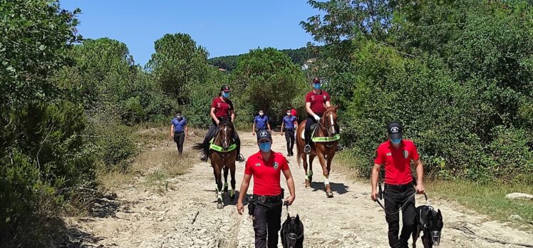 Beykoz'da atlı birliklerle orman denetimi gerçekleştirildi