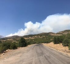 Bingöl'deki orman yangınına müdahale sürüyor