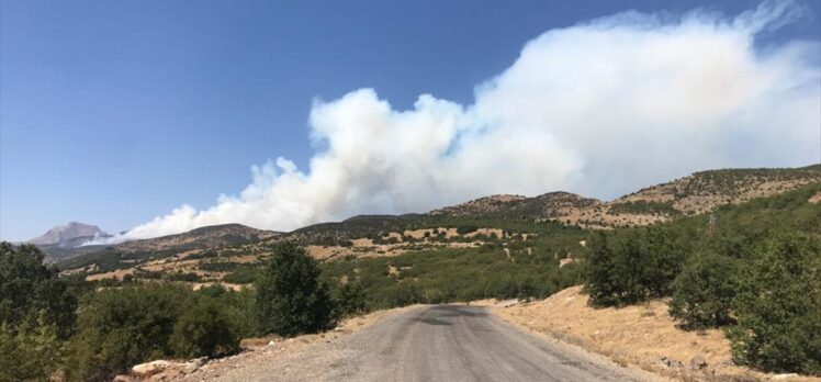 Bingöl'deki orman yangınına müdahale sürüyor