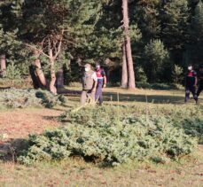 Bolu'da yangın riski nedeniyle girişe yasaklanan ormanlarda jandarma kuş uçurtmuyor