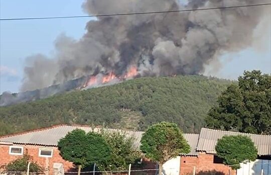 Bursa'da çıkan orman yangınına havadan ve karadan müdahale ediliyor