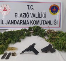 Elazığ'da evinin bahçesinde Hint keneviri yetiştirdiği iddia edilen şüpheli yakalandı