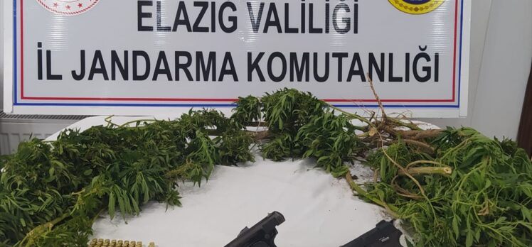 Elazığ'da evinin bahçesinde Hint keneviri yetiştirdiği iddia edilen şüpheli yakalandı