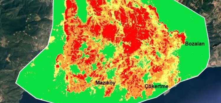 Gebze Teknik Üniversitesi, orman yangınlarının etkili olduğu alanları haritalandırdı: