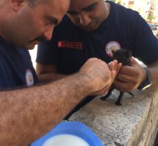 Hatay'da apartman boşluğunda mahsur kalan kedi yavrusunu itfaiye kurtardı