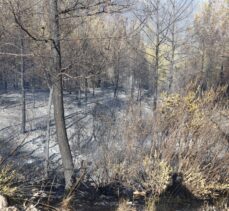 GÜNCELLEME – Isparta'da çıkan orman yangını kontrol altına alınmaya çalışılıyor