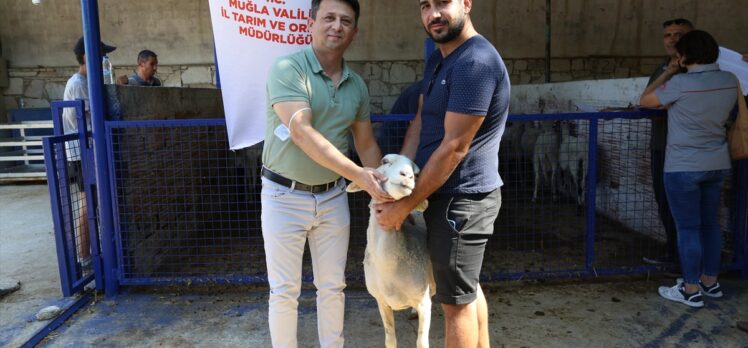 İzmir’den Muğla’daki yangında zarar gören çiftçilere canlı hayvan desteği