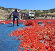 Kilis'te toz biberin kalitesi üreticilerin bilinçlendirilmesiyle arttırıldı