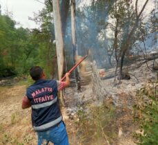 Malatya'da otluk alanda çıkan yangın yerleşim yerlerine sıçramadan söndürüldü