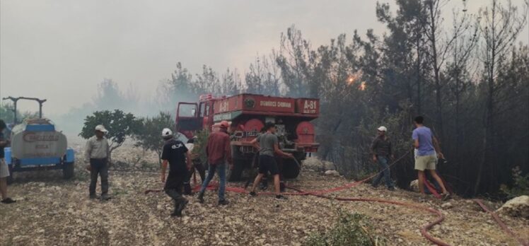 Manisa'da çıkan orman yangınına müdahale ediliyor