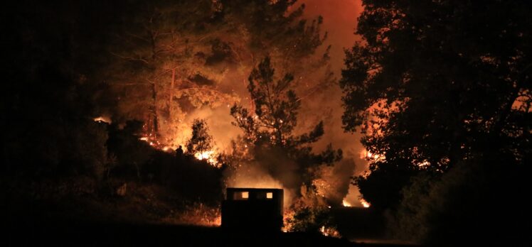 GÜNCELLEME 2 – Milas'ta ormanlık alanda çıkan yangın kontrol altına alınmaya çalışılıyor