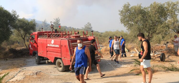 Milas’ta ormanlık alanda çıkan yangına müdahale ediliyor